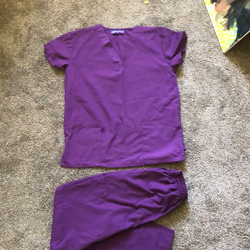 Pair of Greentown USA Scrubs Purple XS